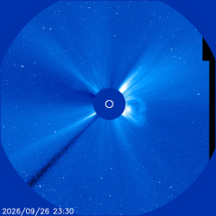 Images of the solar corona